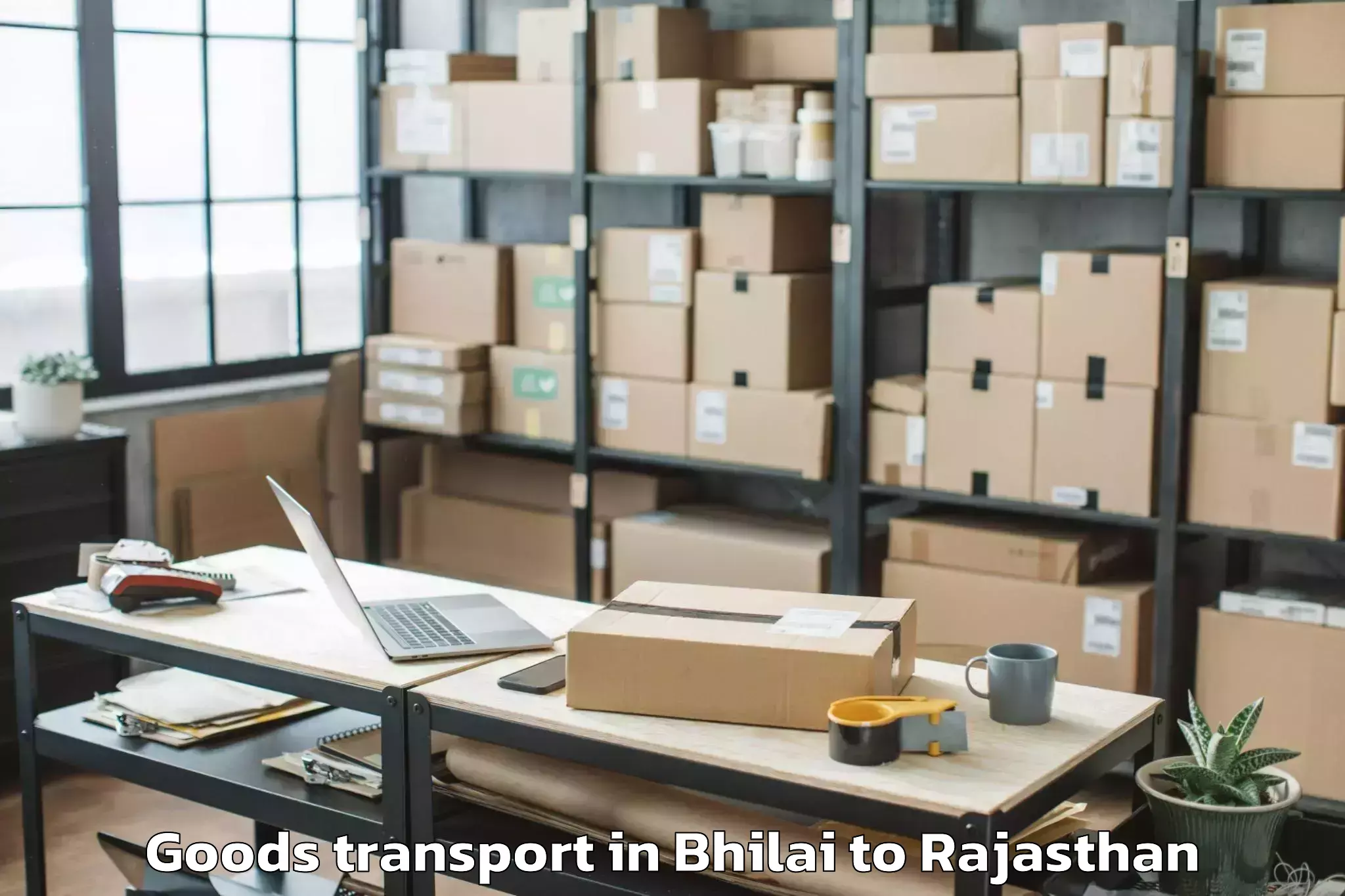 Efficient Bhilai to Sapotra Goods Transport